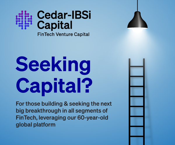 ibsi_seeking-capital_mpu-no-cta